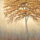 James Wiens Amber